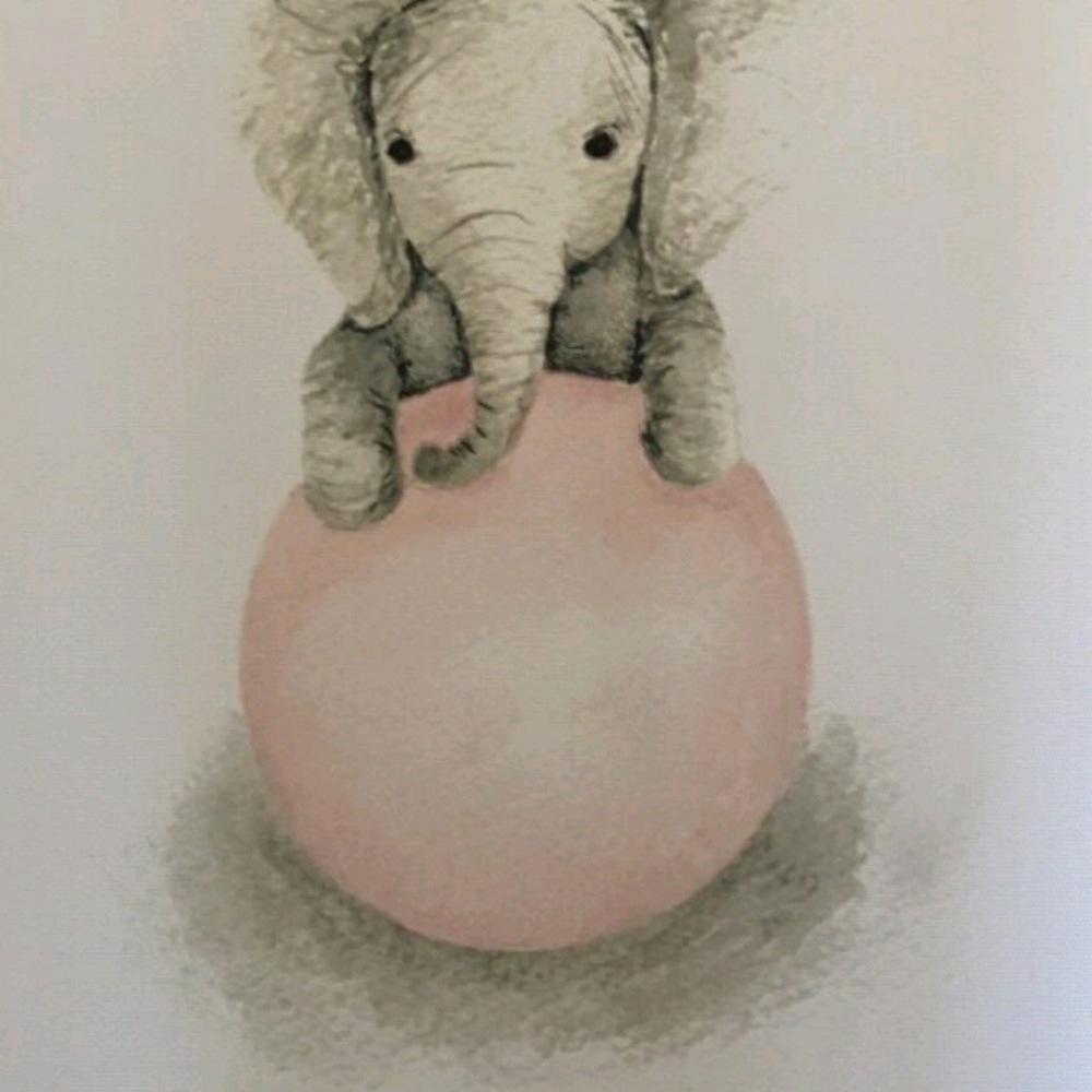 Meet your Posher, Shadawn